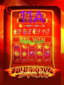 FruitNovaSuper100